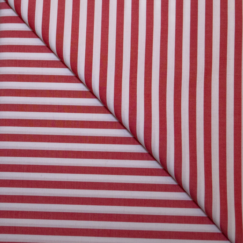 Prince Rose Roma - 0226/019