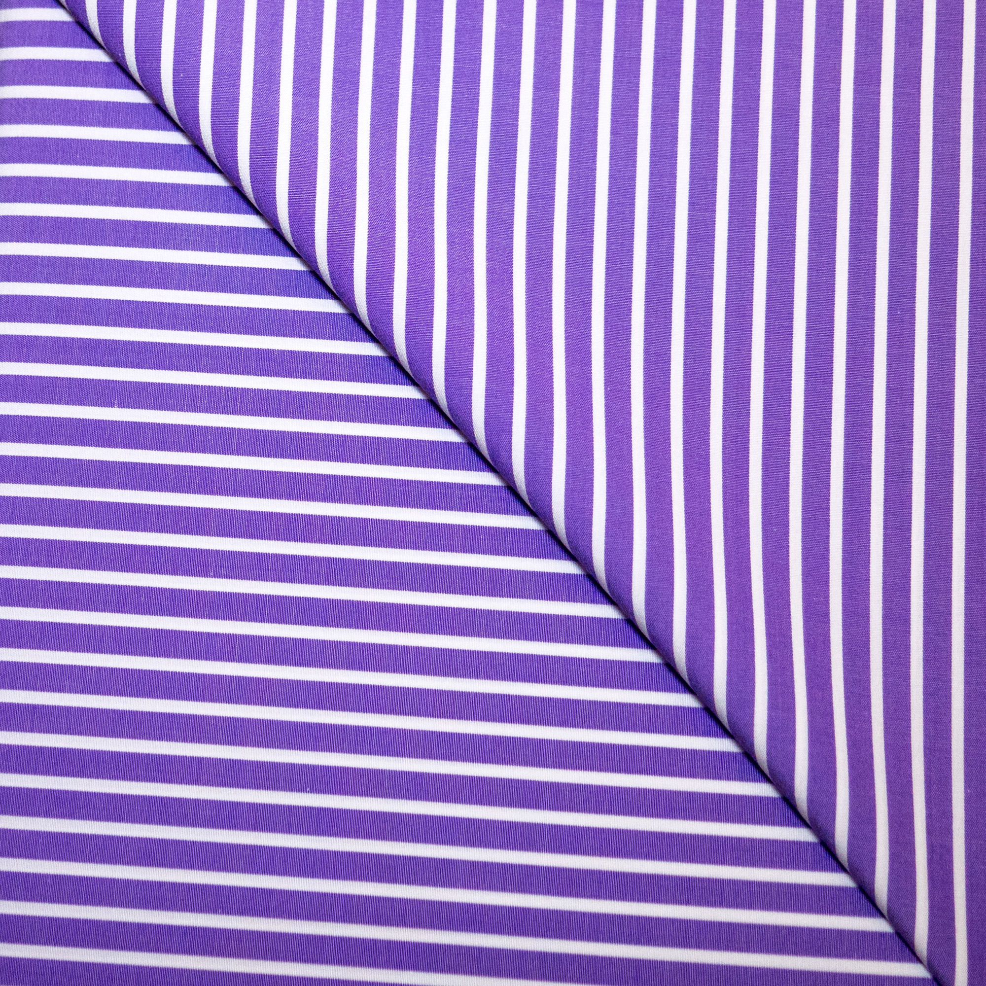 Canclini Viola / 1
