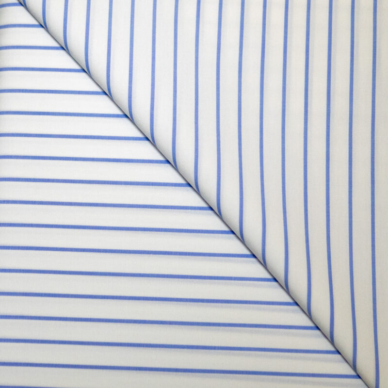 Prince Rose Roma - 0190/004