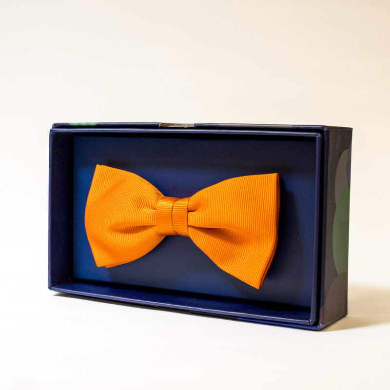 Papillon - Arancione