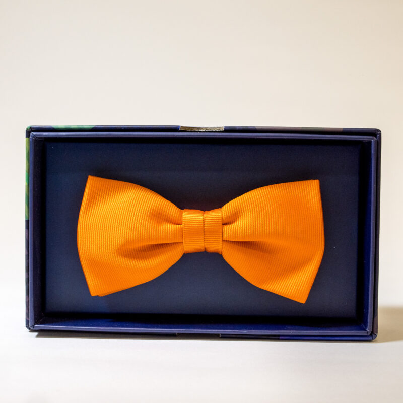 Papillon - Arancione - immagine 2